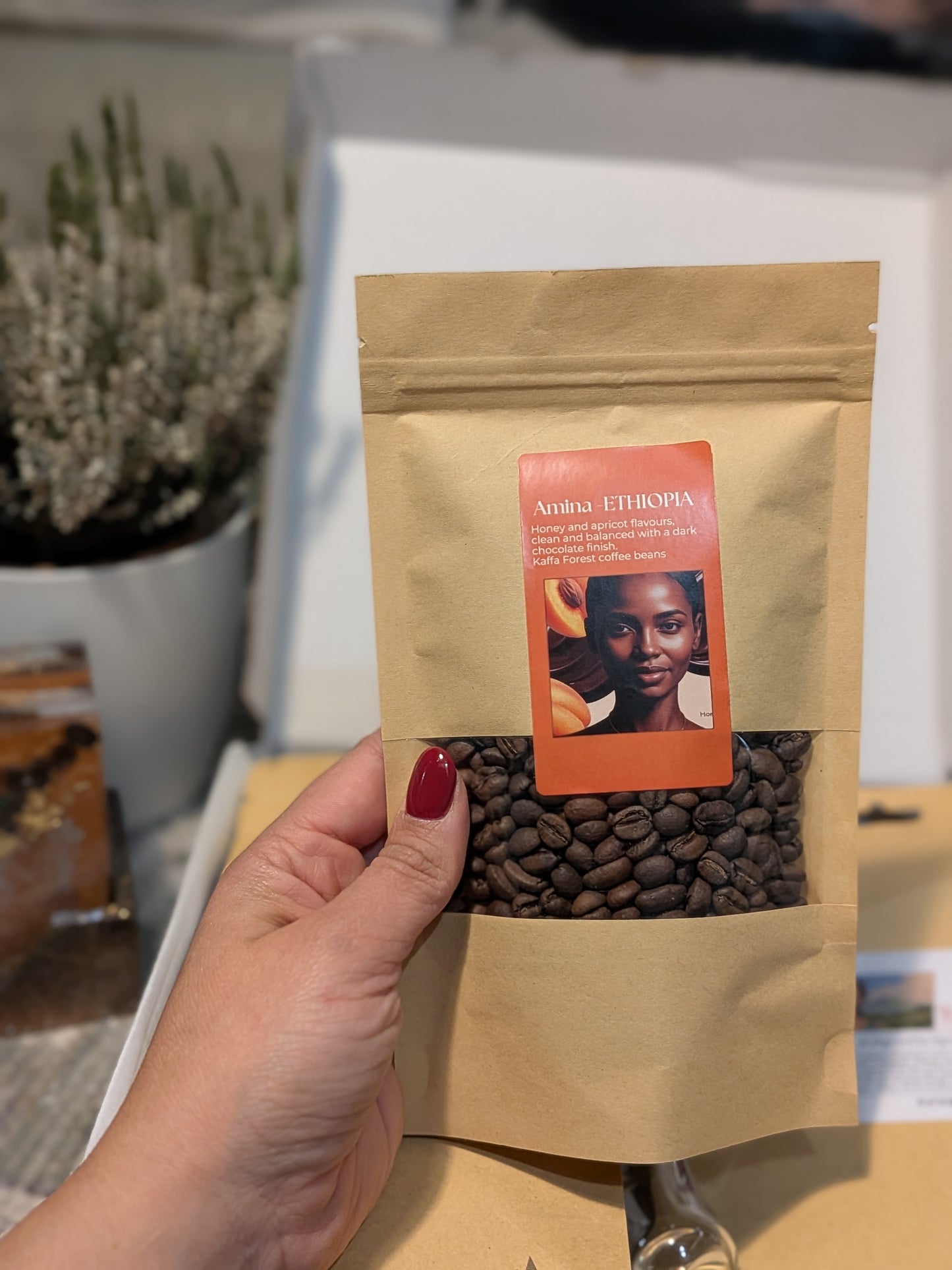 Christmas 3-pack Beans + Free Christmas Star