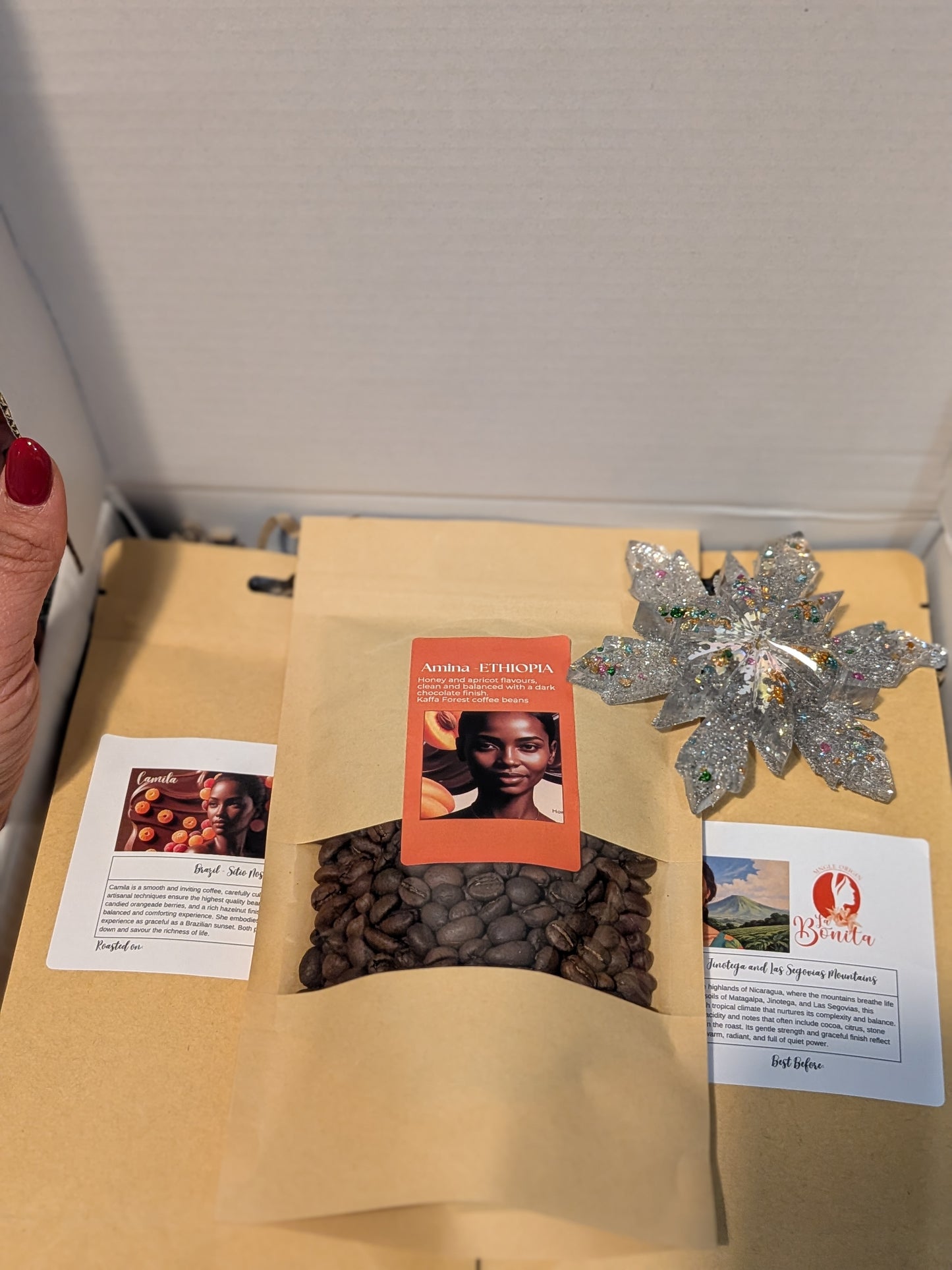 Christmas 3-pack Beans + Free Christmas Star