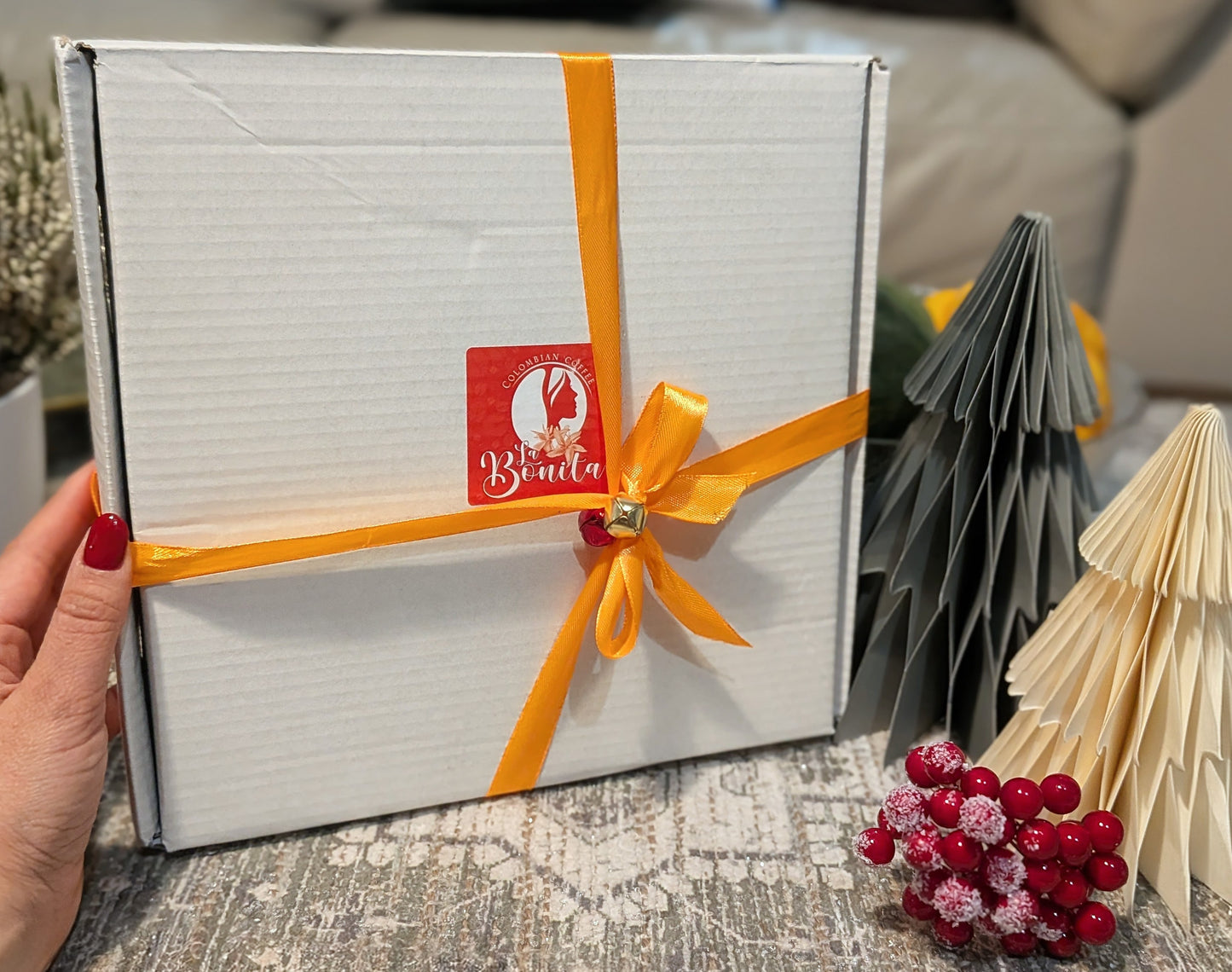 Christmas 3-pack Beans + Free Christmas Star