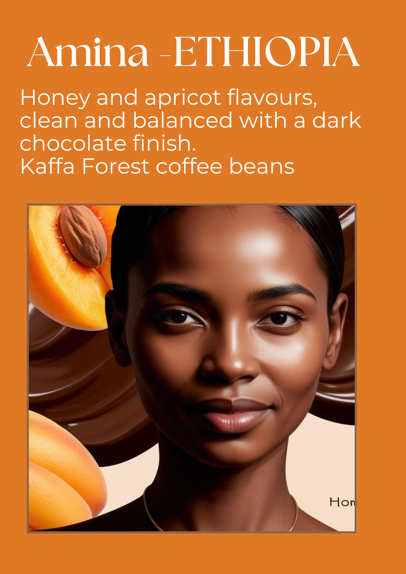 Christmas 3-pack Beans + Free Christmas Star