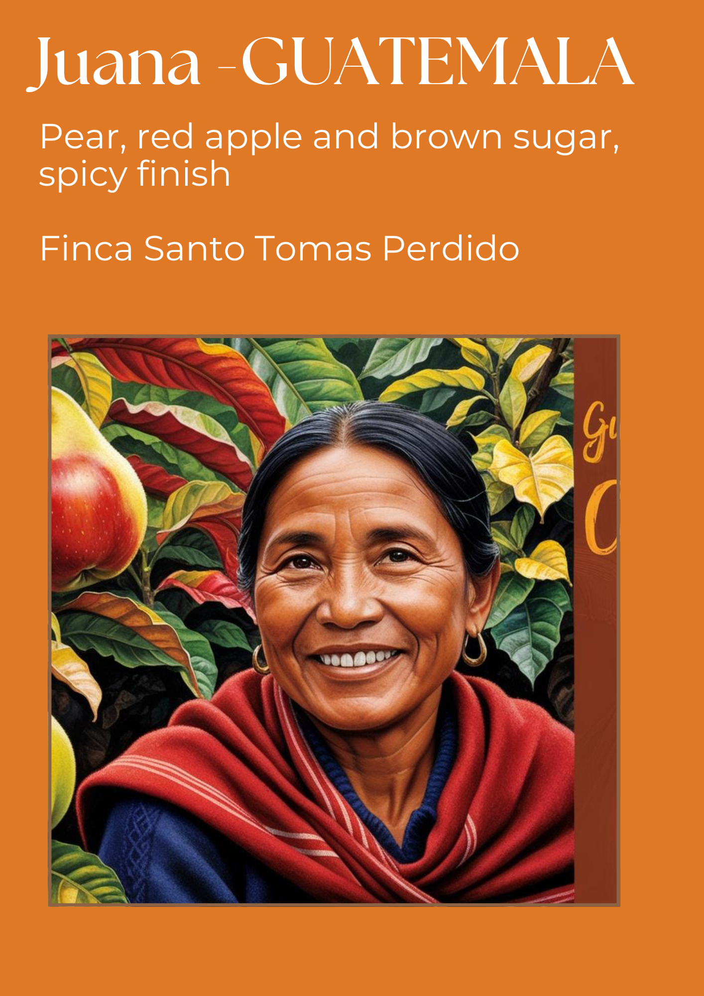 Christmas 3-pack Beans + Free Christmas Star